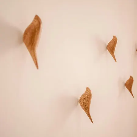 Apartamento Casa Marcellino Centro *